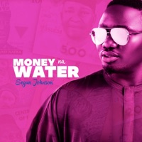 Money Na Water - Single - Segun johnson