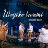 Brilliant Baloyi - Uloyiko Lwami (feat. Mini Twins) artwork