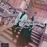 Tera Deewana (feat. DXL) - Single - Harmz Matharu