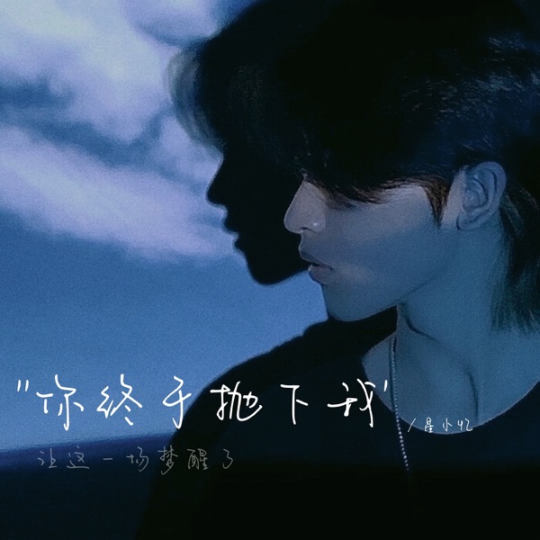 你终于抛下我 - Single