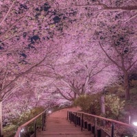 NICE TO MEET YA (feat. Ola Runt) - Single - Boog 100