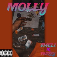 MOLLY (feat. Twizzy) - Single - 814ElI