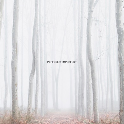 Perfectly Imperfect - Single
