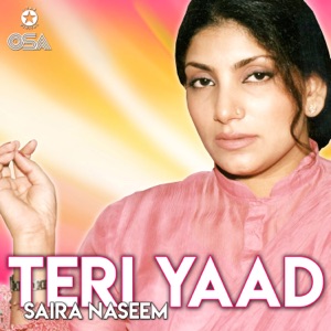 Teri Yaad
