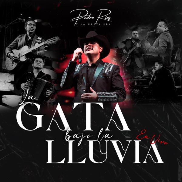 La Gata Bajo la Lluvia (En Vivo)