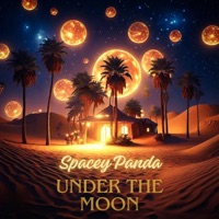Under the Moon - Single - Spacey Panda