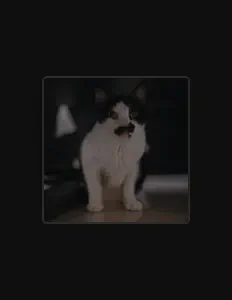 Écoutez 歐陽君宜, regardez des vidéoclips, lisez la biographie, consultez les dates de tournée et plus encore !