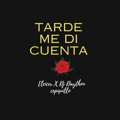 Tarde me dí cuenta (feat. Eleicer) - Single