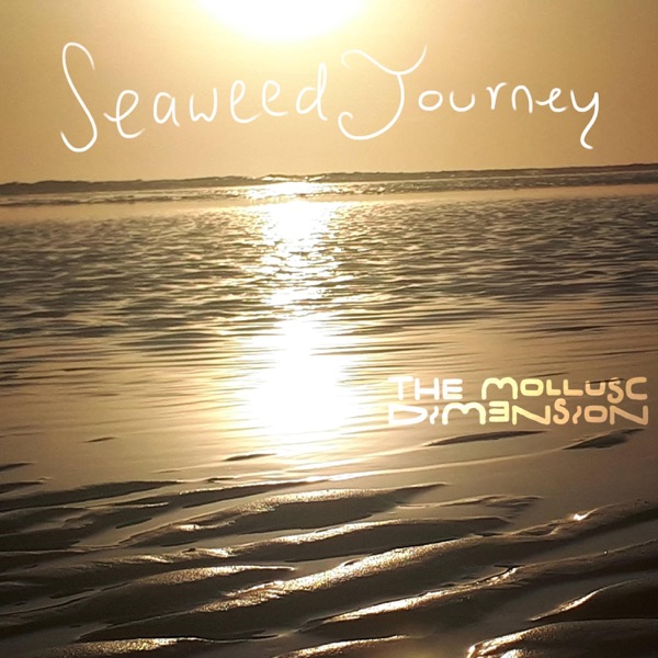 Seaweed Journey