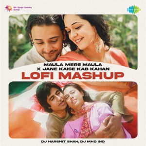Maula Mere Maula x Jane Kaise Kab Kahan (LoFi Mashup)