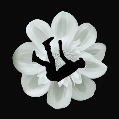 Listen to Navigating the Freefall by Blossomoon