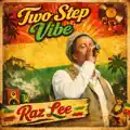 Two step vibe