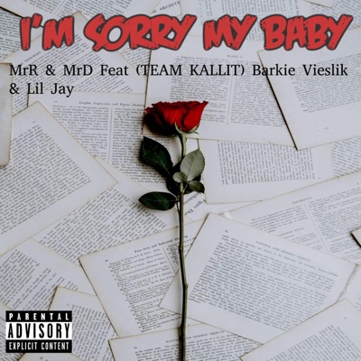 I'm Sorry My Baby (feat. TEAM KALLIT, Barkie Vieslik & Lil Jay) - Single
