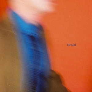 DENIAL (feat. Marie Dresselhuis) - Single