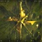 Wanted - What So Not, The Upbeats & Stace Cadet lyrics