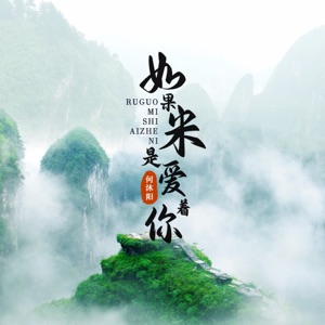 如果米是爱着你 - Single