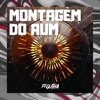 Montagem do Aum - Single