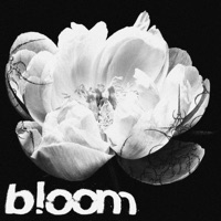 bloom - Single - glasshill