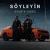 Soyleyin