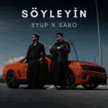 SOYLEYIN