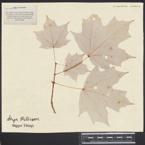Bigger Things - Single