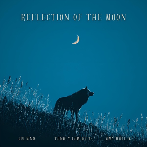 Reflection of the moon