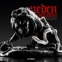 Neden Ağlattın (Remix) - Single - seco & Rexart