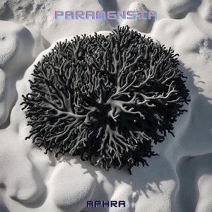 Paramnesia - Single