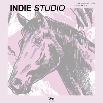 Indie Studio, Vol. 7