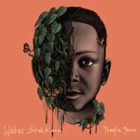 Jungle Jams - Single - Walter Scalzone