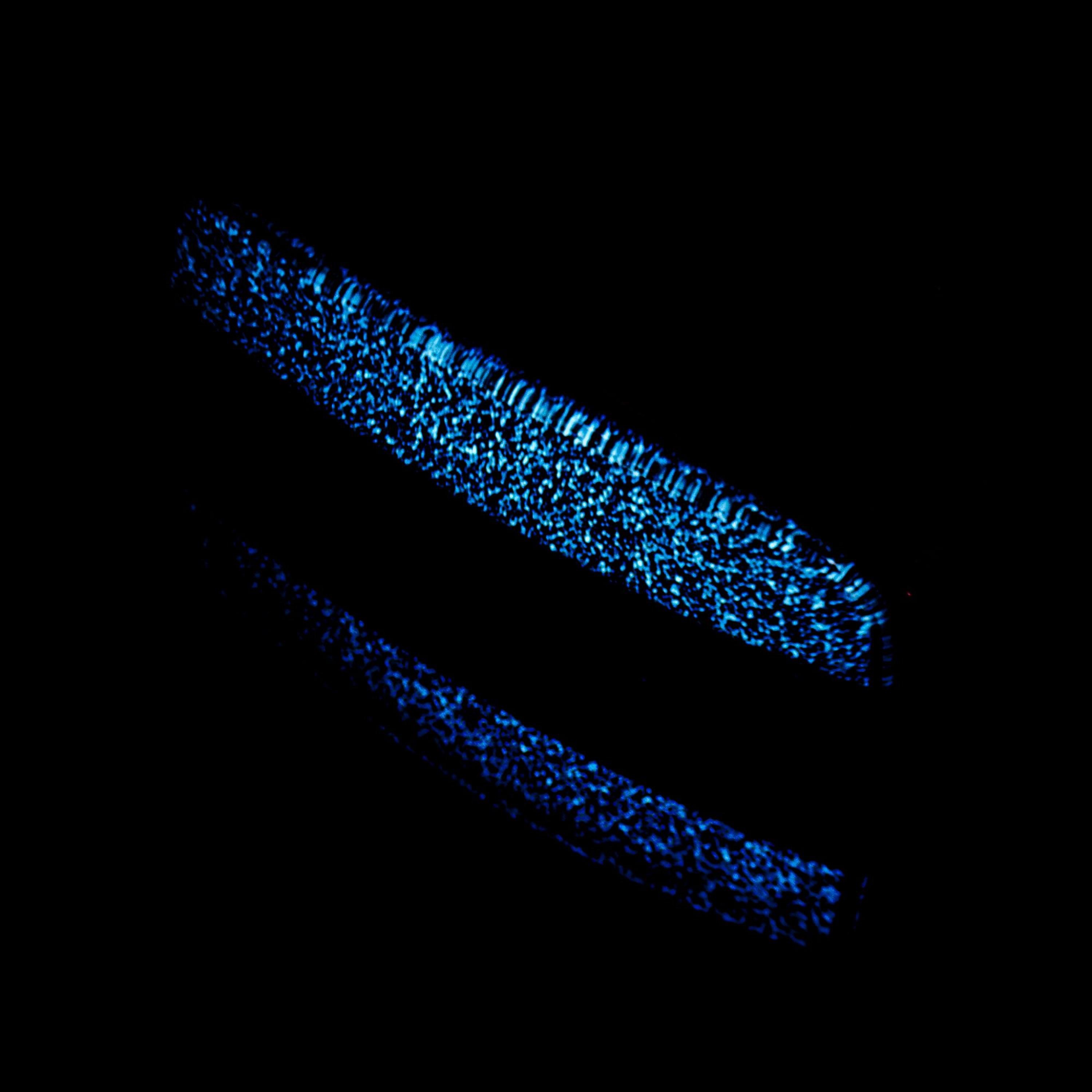 Noite Acústica - Single