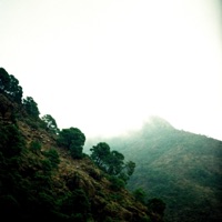 Ronda - Single - Zaya Lyn & William Cas