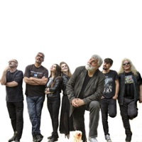 Pandemic Of Love - Single - Whiteheads