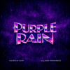 Mauricio Cury & Juliano Fernandes - Purple Rain (House Remix)  arte