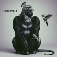 Flooded, Vol. 4 - Ricky Bakken