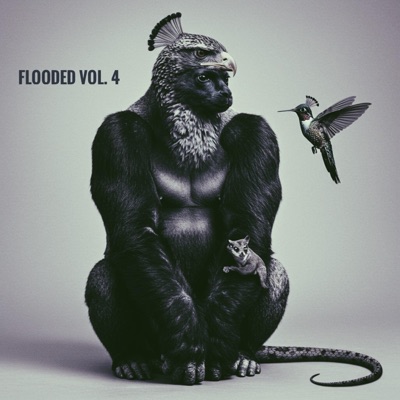 Flooded, Vol. 4
