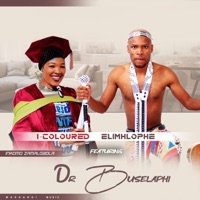 I COLOURED_INKOMO ZAMALOBOLO (feat. Buselaphi) - Single - Maskandi First Class