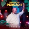 Brasa (feat. Xande de Pilares) [Ao Vivo] - Péricles lyrics