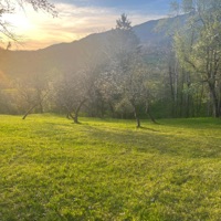 want me - Single - THXMAS