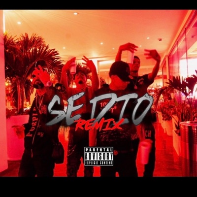 SE DIO REMIX (feat. Hollowprrr, Joozt & Yaviel) - Single