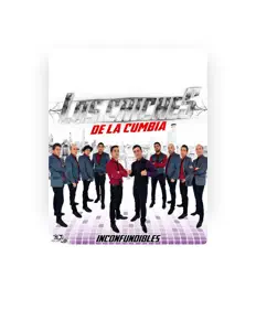 收听 LOS CHICHES DE LA CUMBIA、观看音乐视频、阅读小传、查看巡演日期等 ！