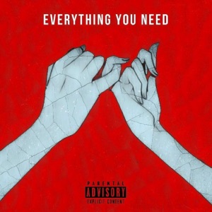 Everything You Need (feat. Kev Nasty & 808donnie) - Single