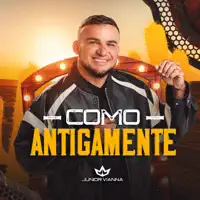 CAVALO ALADO — JUNIOR VIANNA