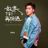 如果下辈子再相遇 - Single - Chen Ya Sen