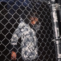 Movie - Single - YungKinte