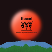 Kocari