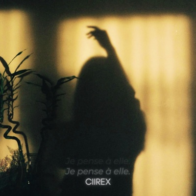 Je pense à elle - Single