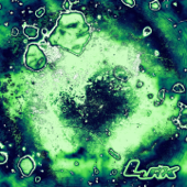 Lurk - EP