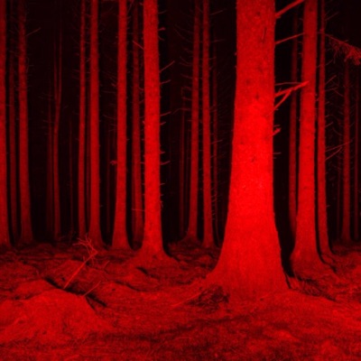 Young Never Broke Again - EP