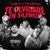 Te Olvidare en Silencio - Single